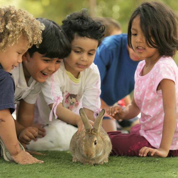 Montecito Preschool of Los Altos's Photo