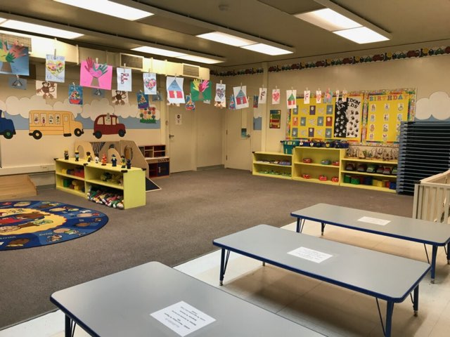 ACTION DAY PRIMARY PLUS-Allen's Photo