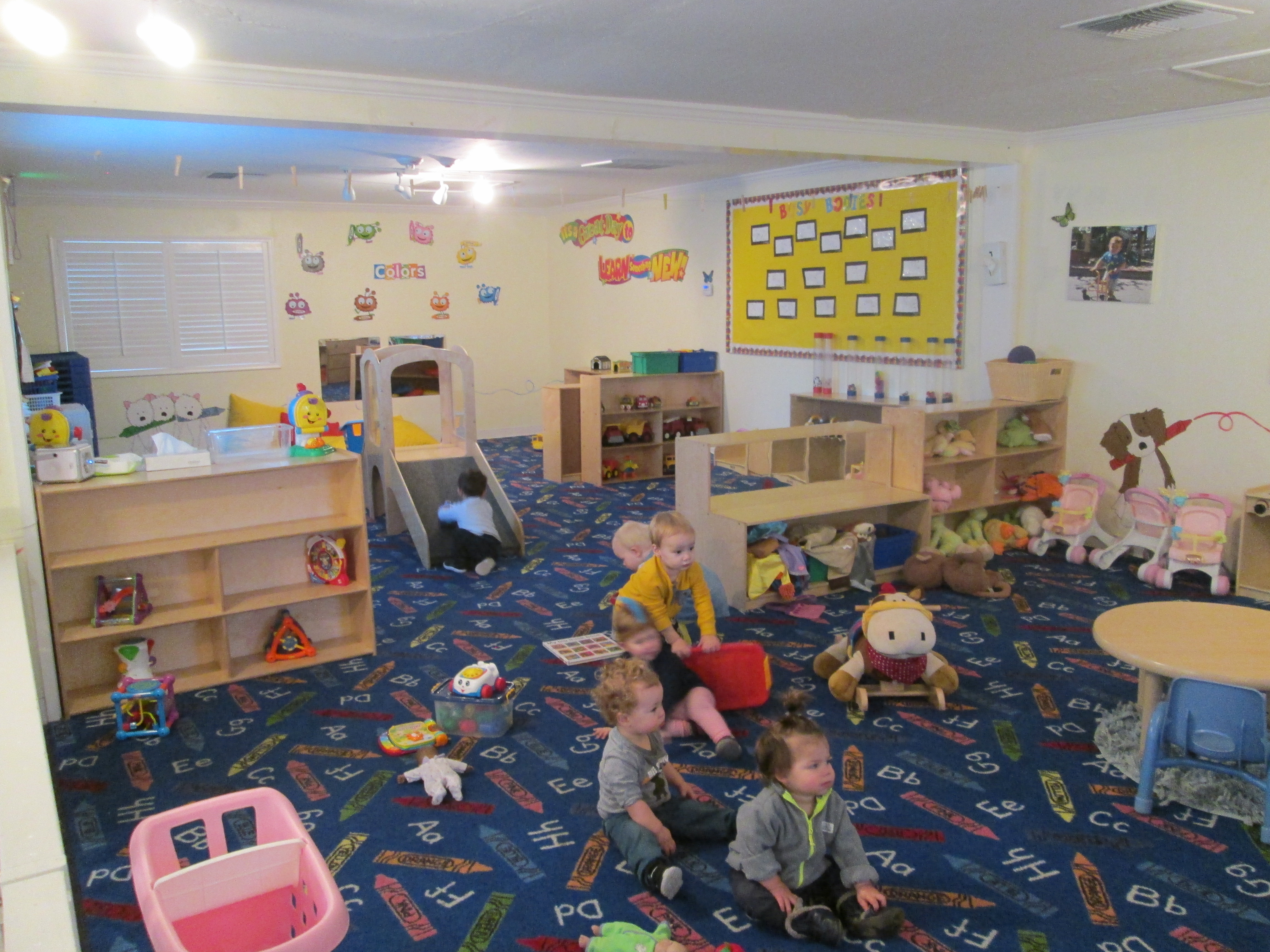 Action Day-Lincoln's Photo