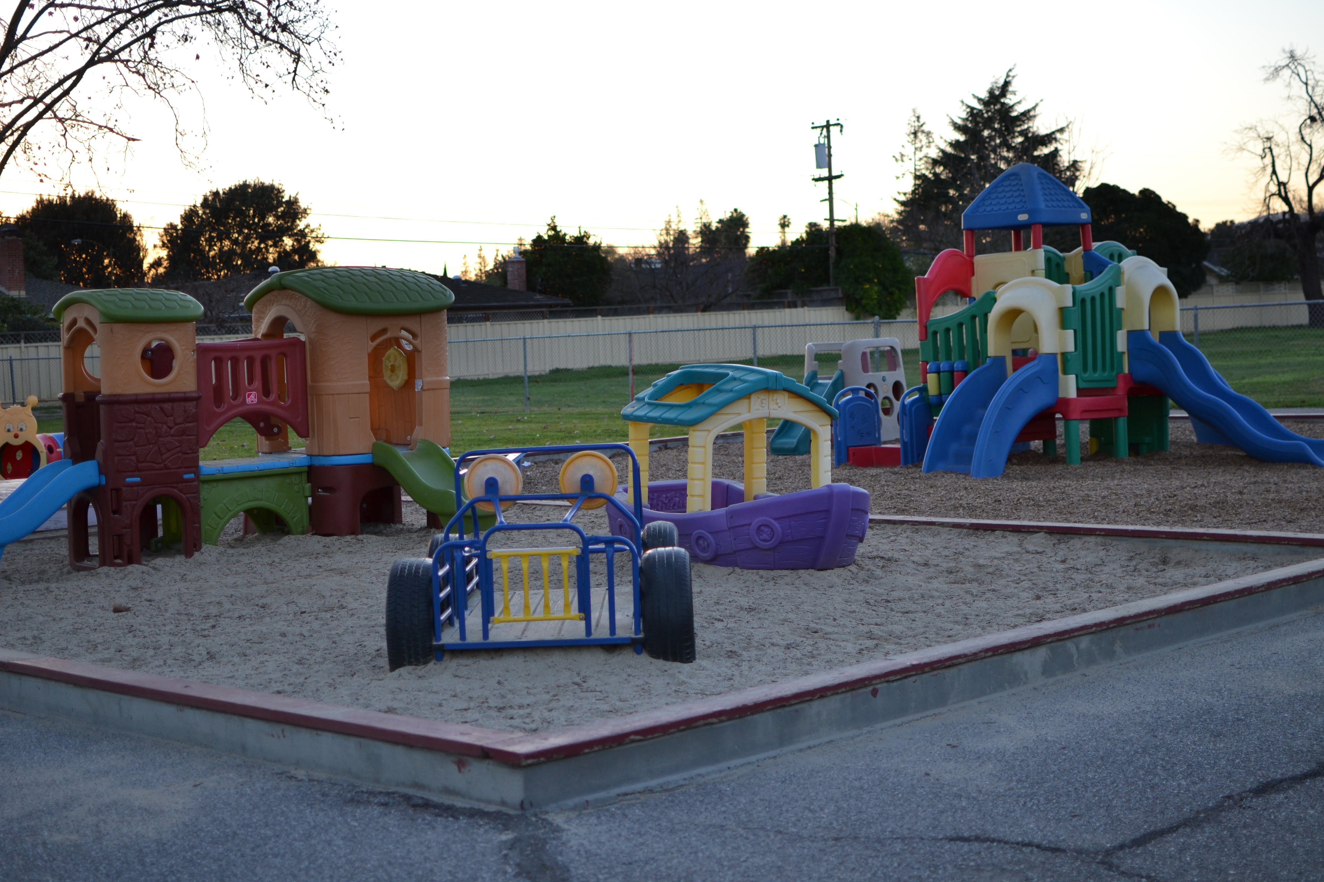 Action Day-Amber's Photo