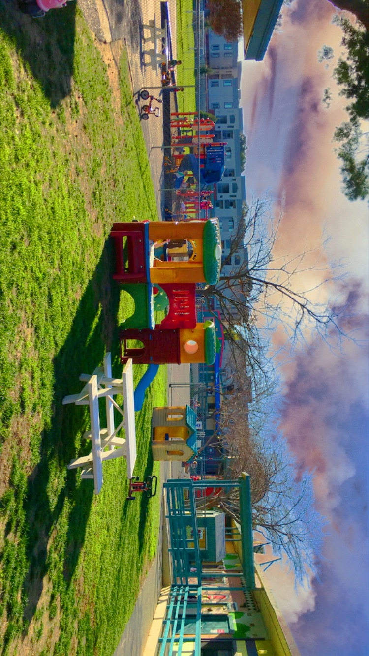 Action Day-Phelan's Photo