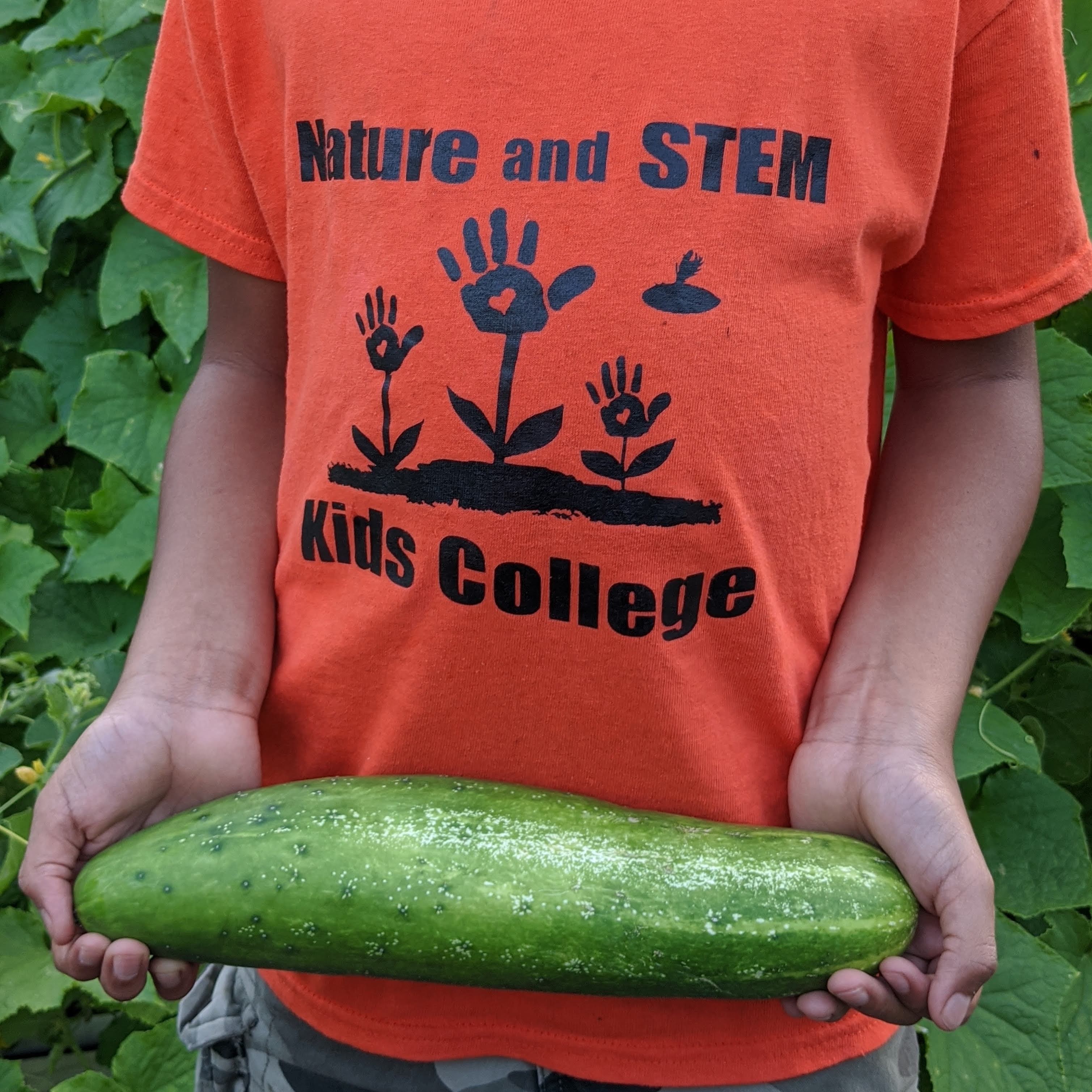 Nature and STEM Kids College's Photo