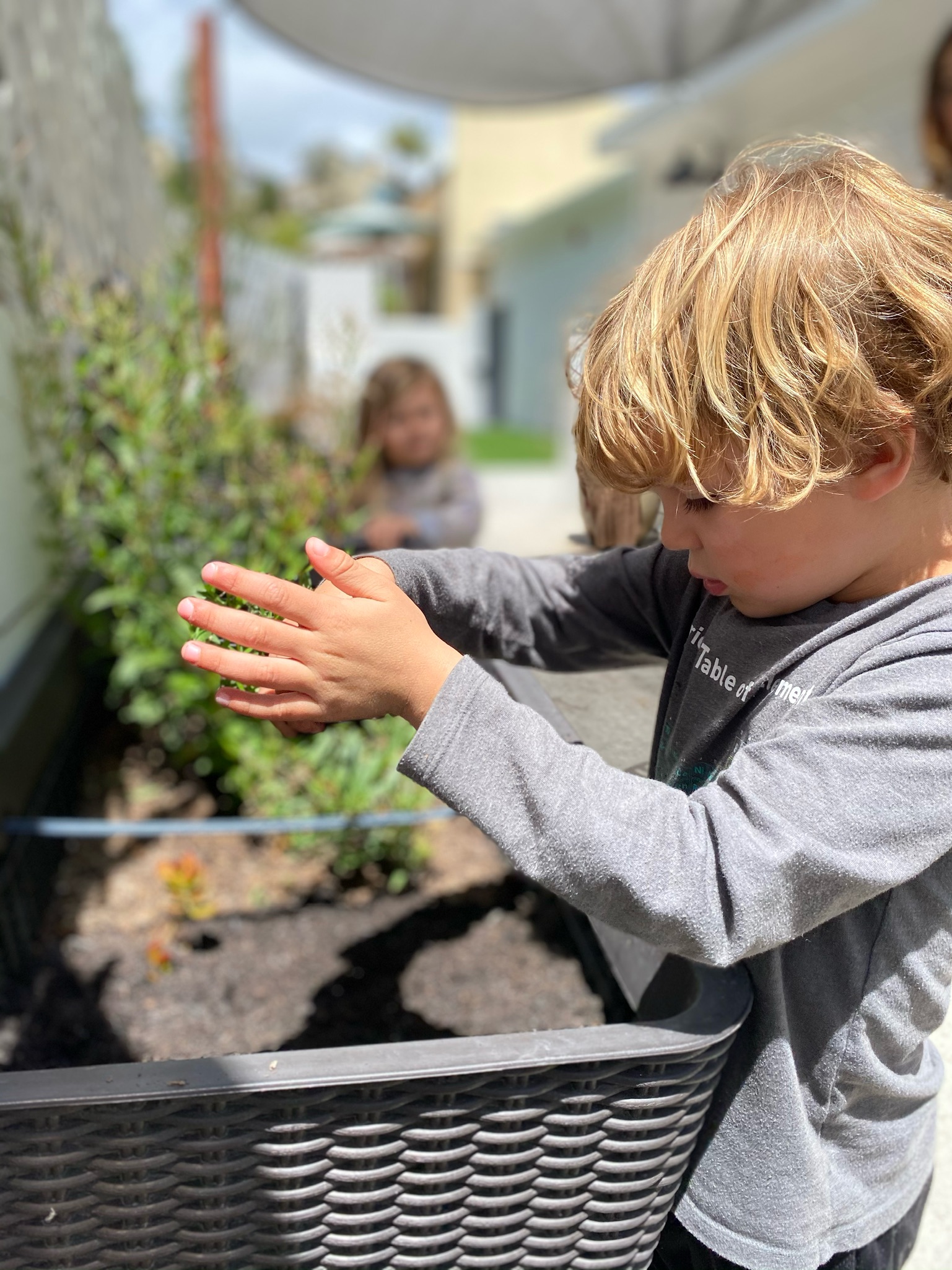 DANA POINT MONTESSORI's Photo