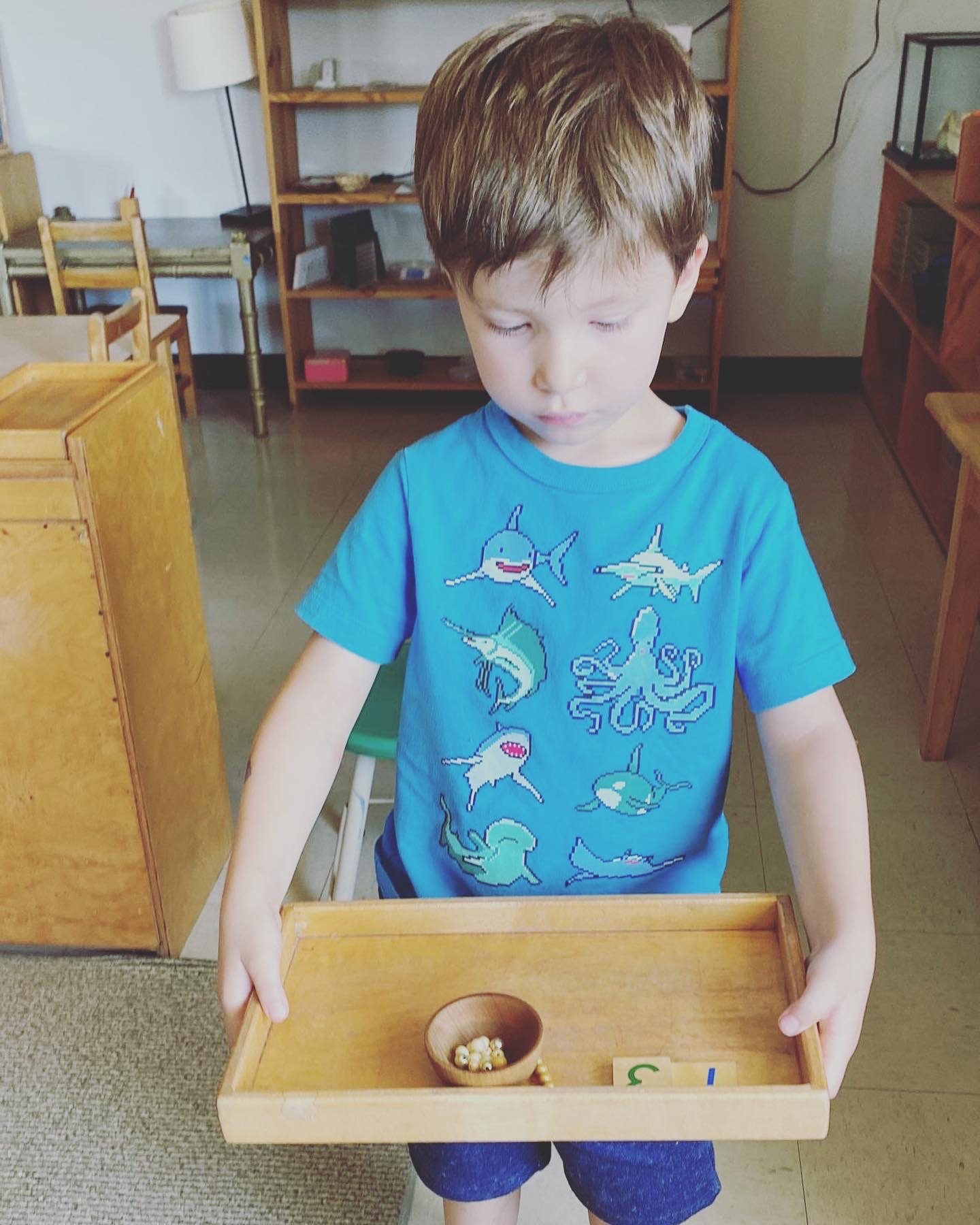 Mundo Verde Montessori's Photo