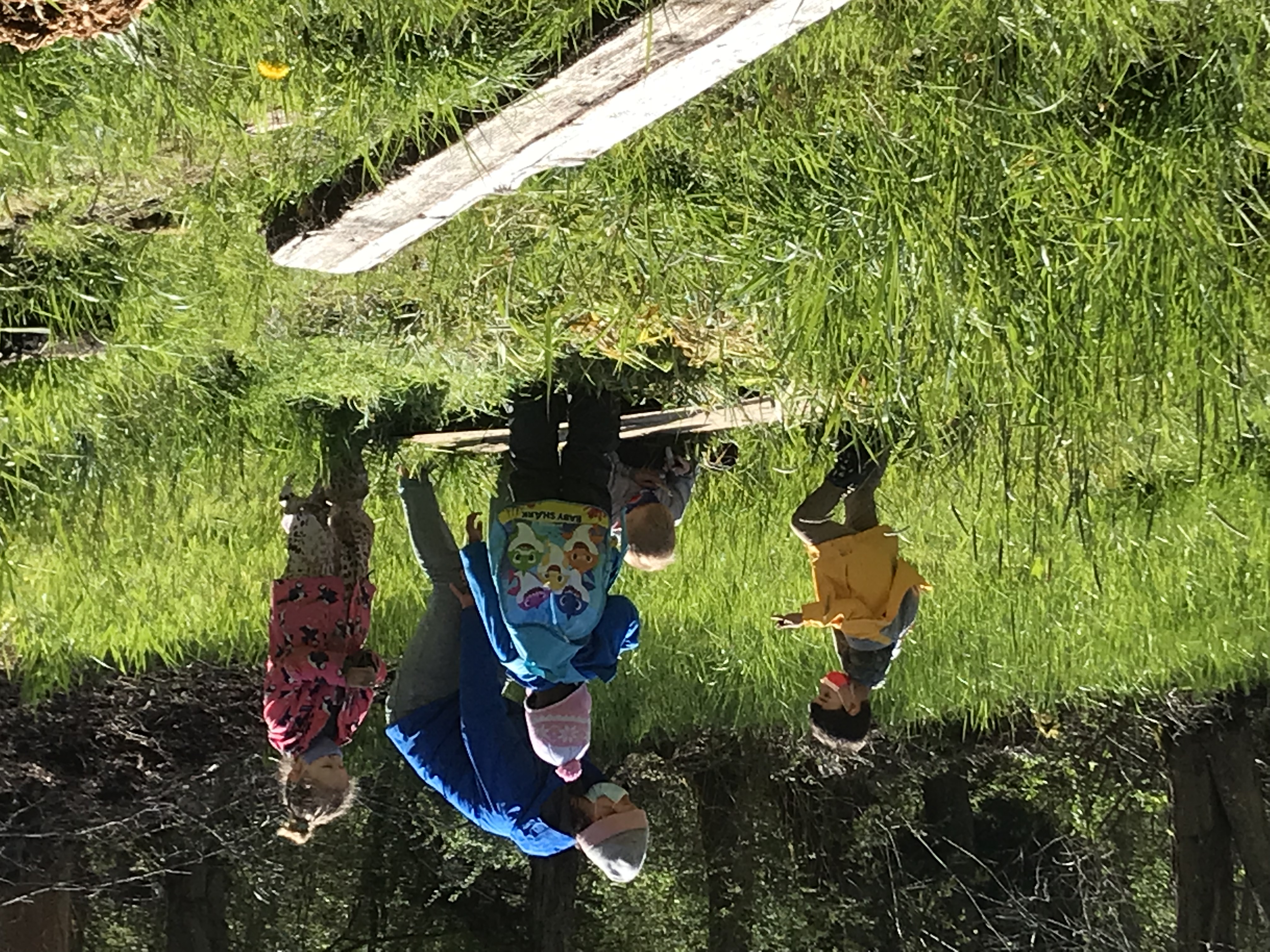 Daybreak Star Outdoor Preschool's Photo