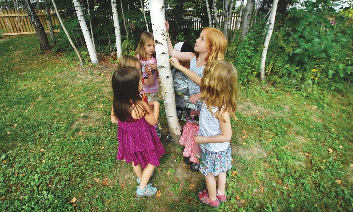 Mountain River School's Photo