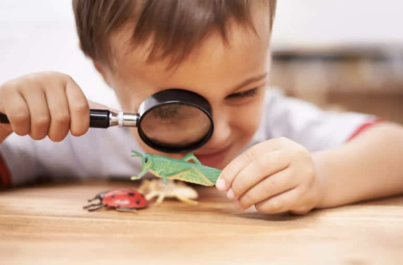 Building Kids | Pacific Heights, SF's Photo