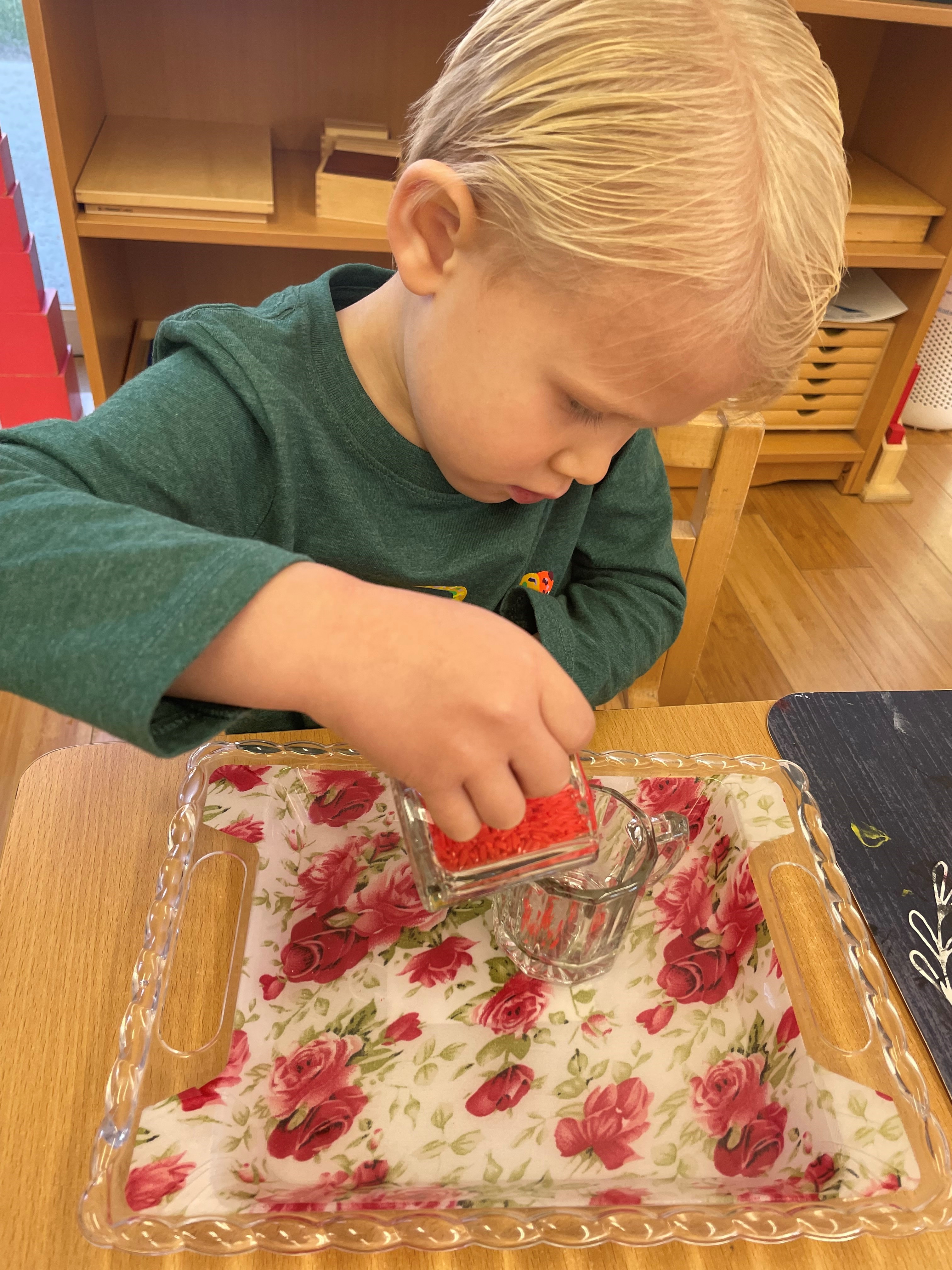 KENSINGTON MONTESSORI OF LAGUNA NIGUEL's Photo