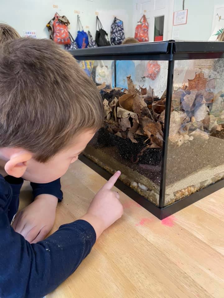 Maple Leaf Children's Center, Inc.'s Photo