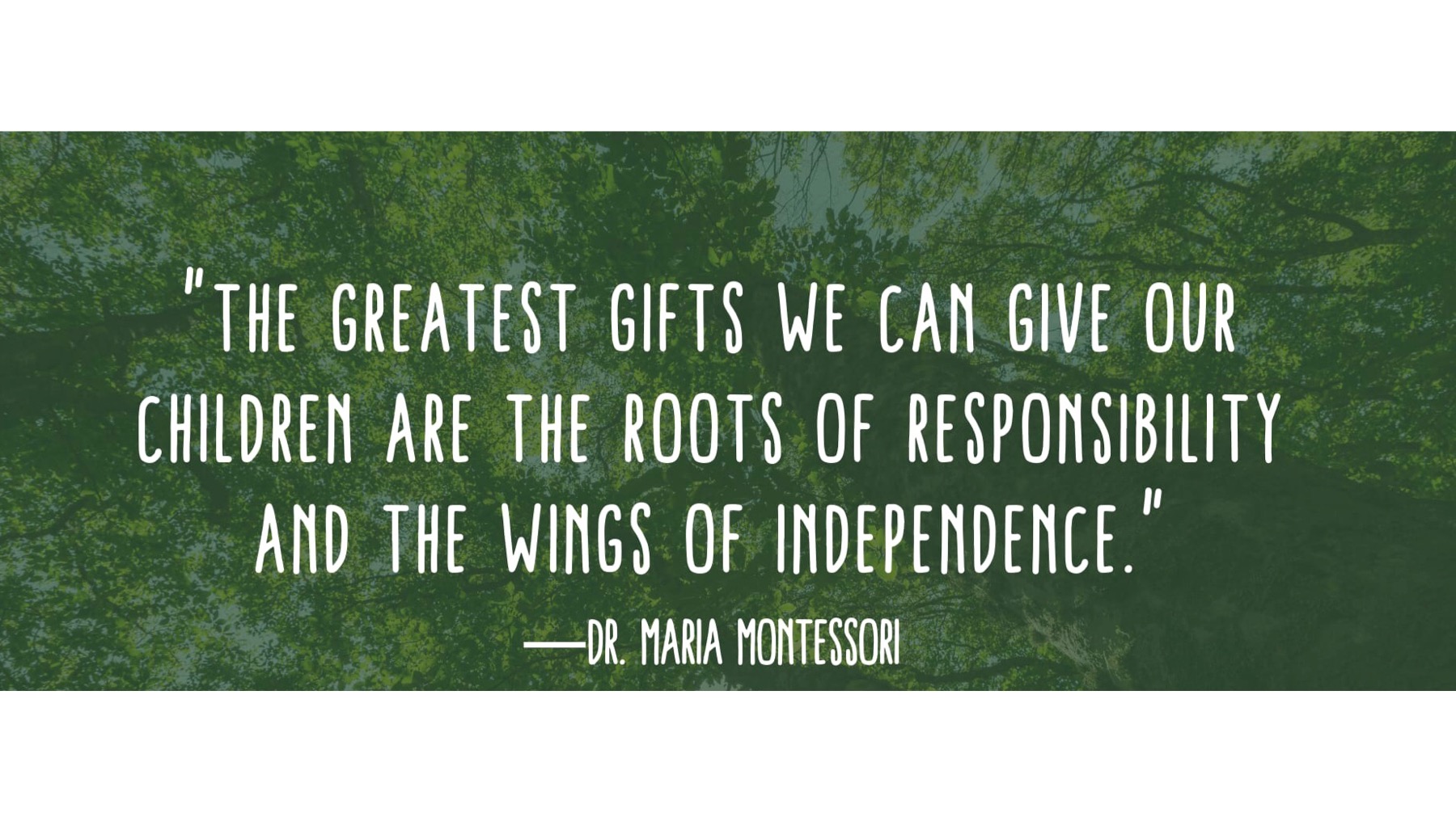 Discover Me Montessori's Photo