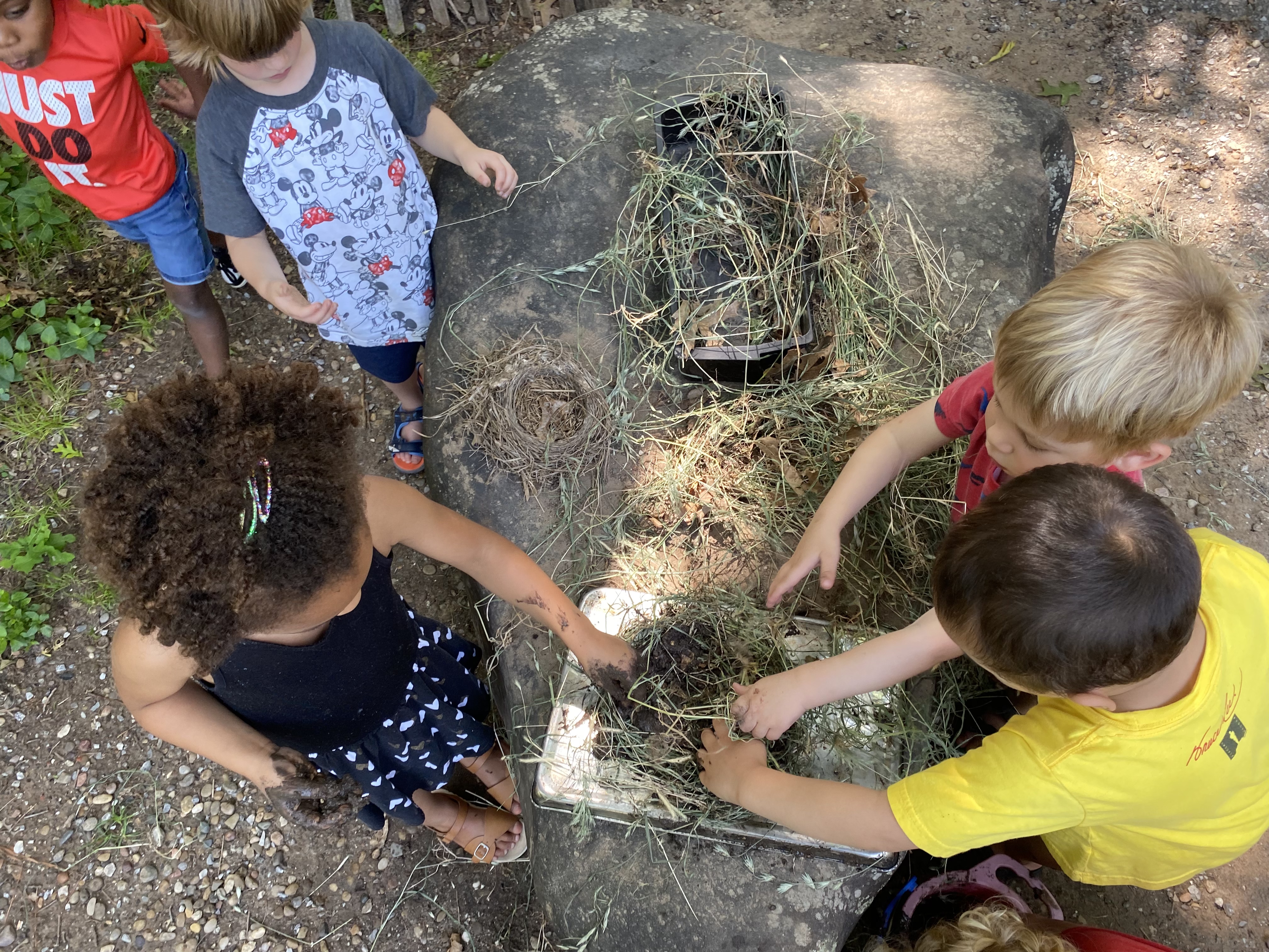 Carol's House's Photo