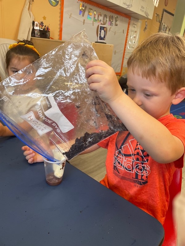 LITTLE TREASURES ACADEMY's Photo