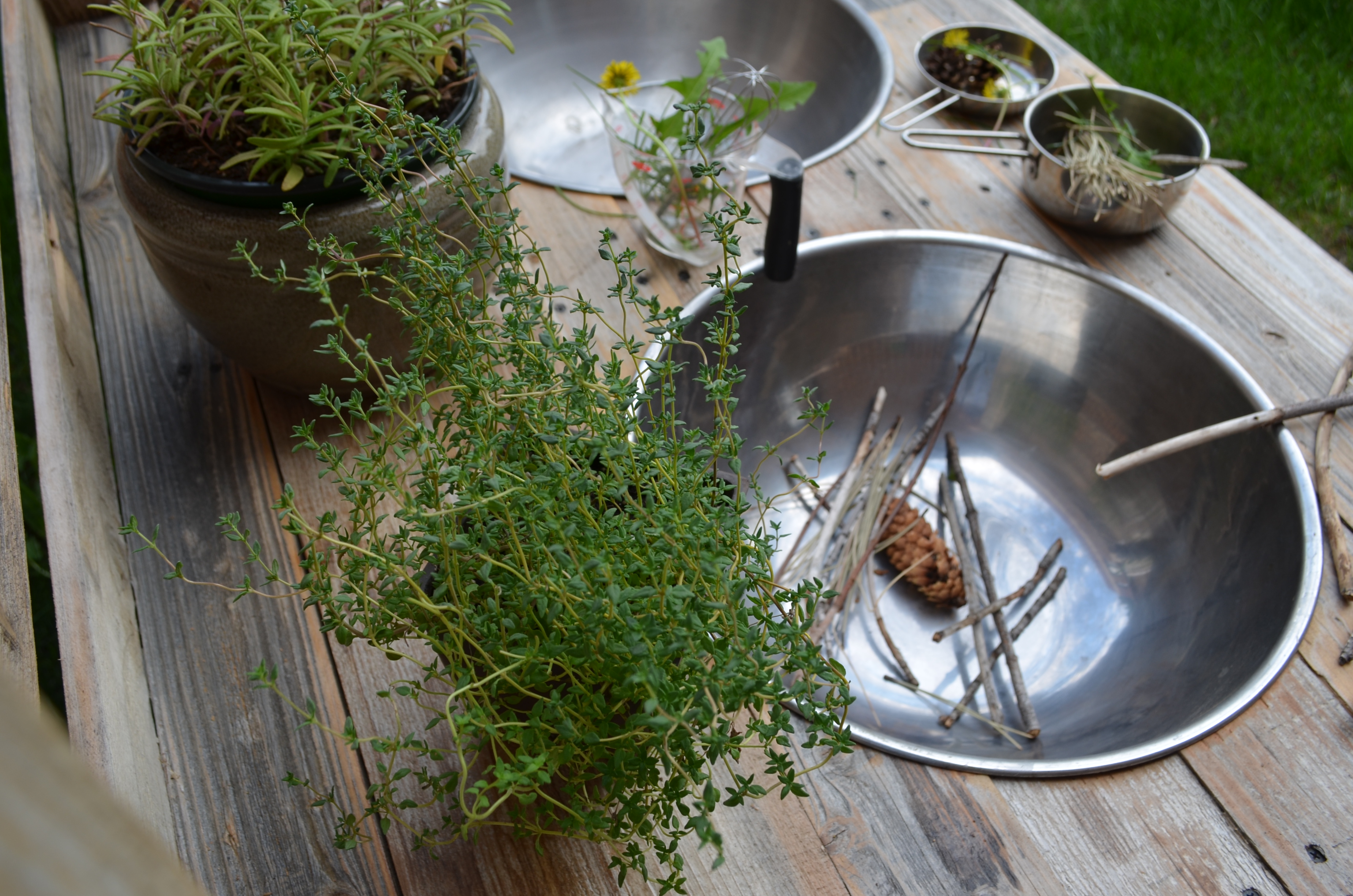 The Oak School's Photo