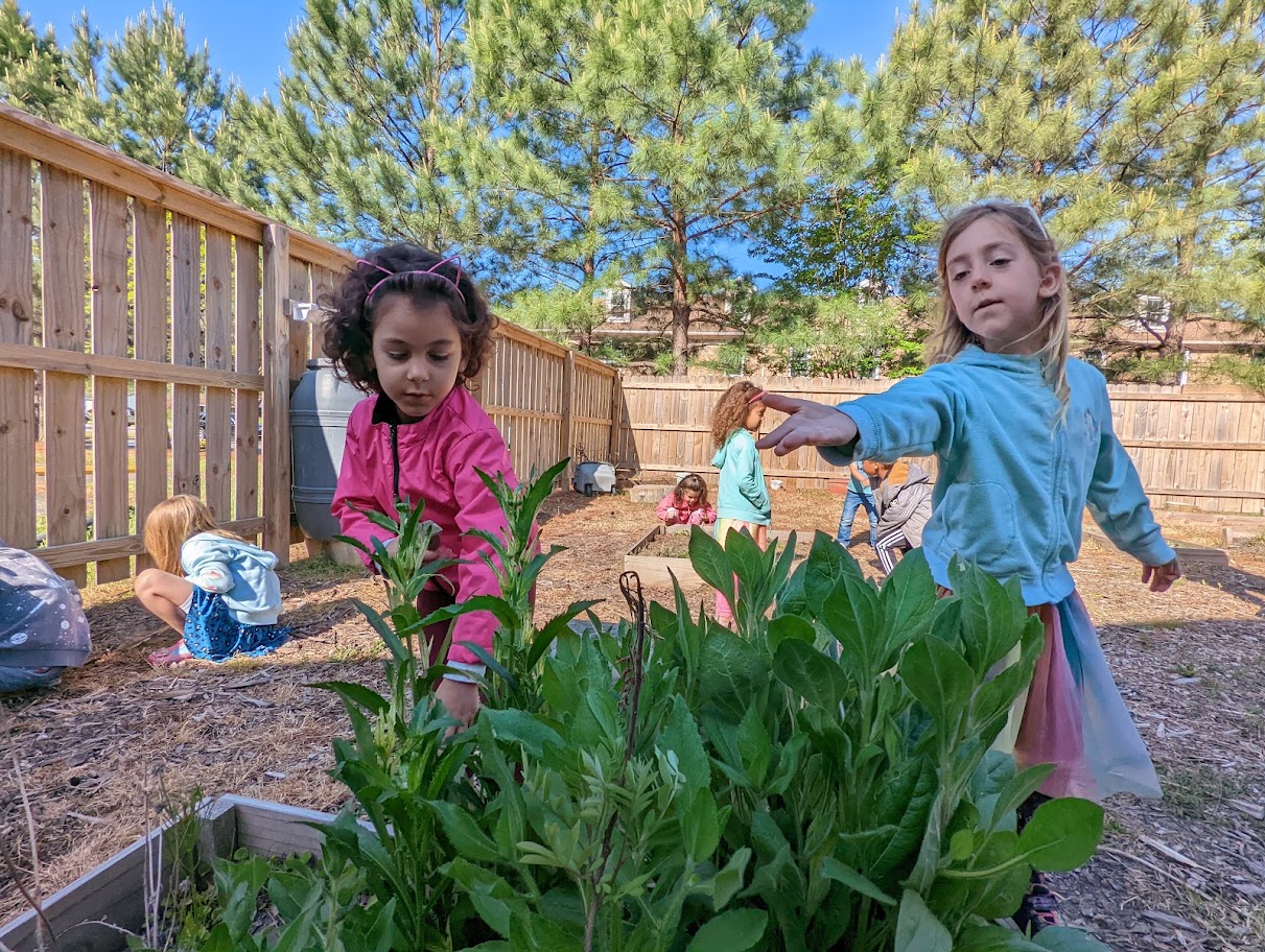 Holistic Life Schools's Photo