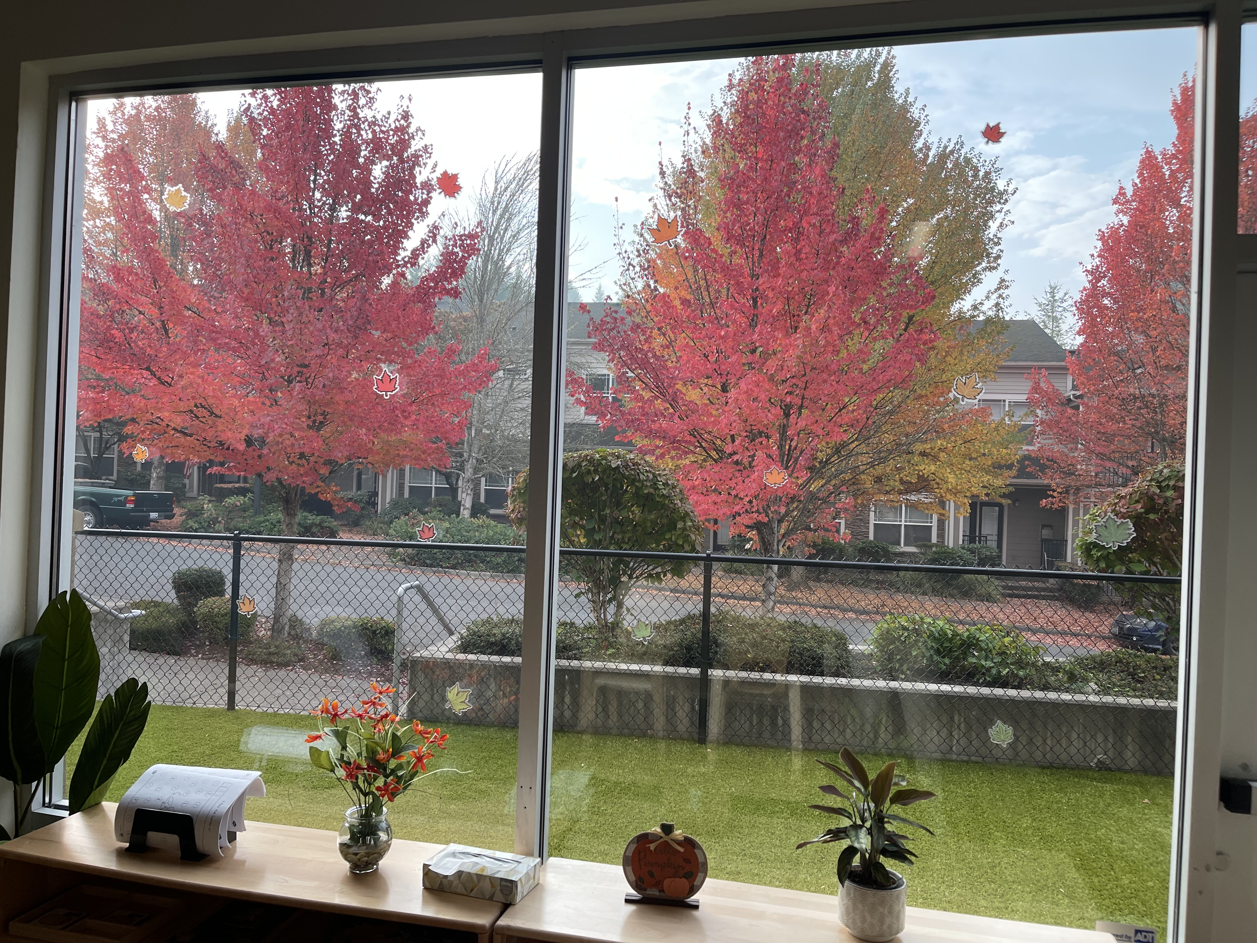 Redmond Ridge East Montessori's Photo