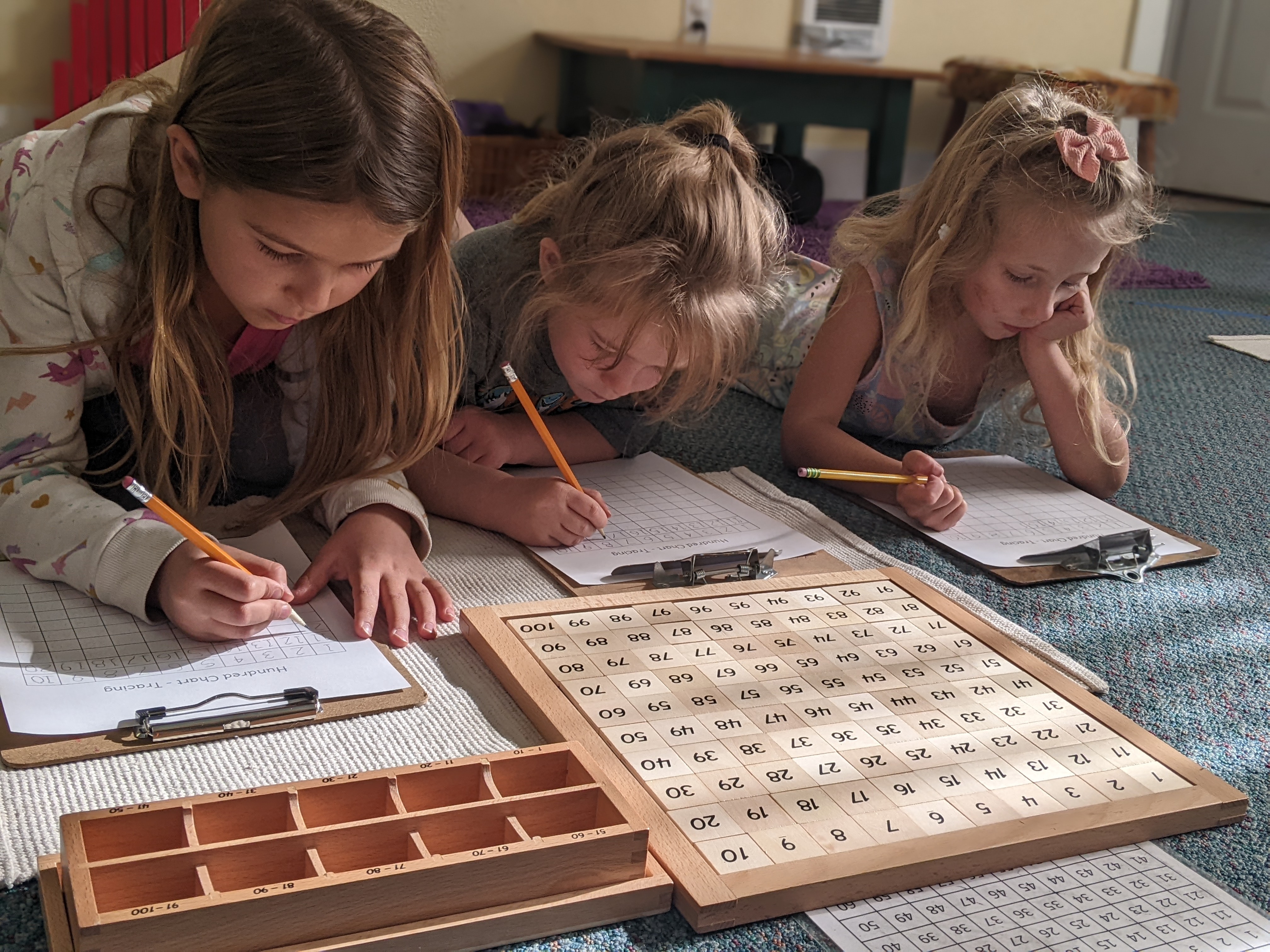 Butterfly House Montessori's Photo