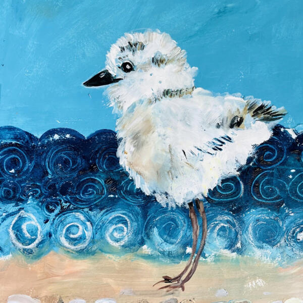 Beginner Art Classes