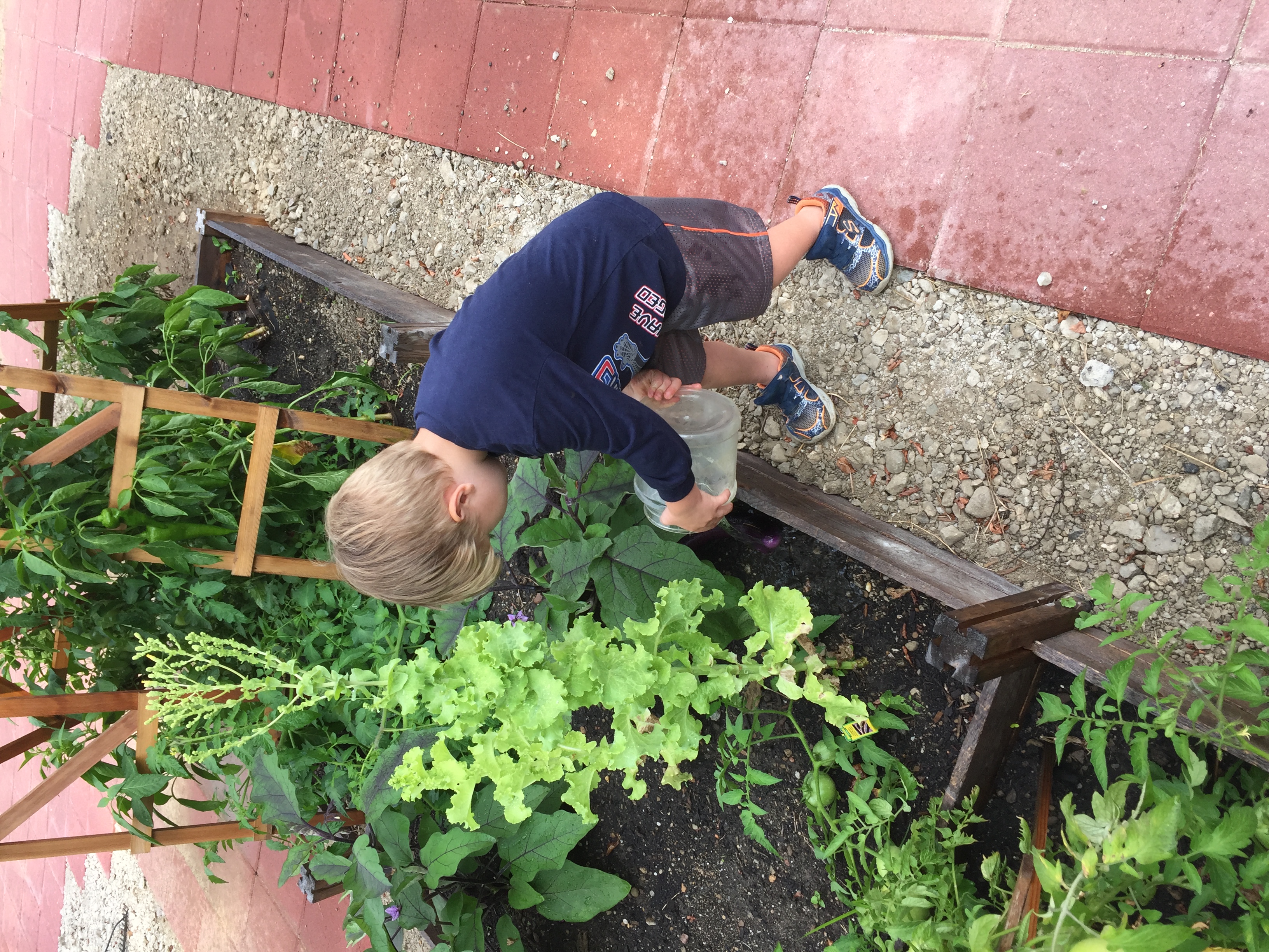 WRIBBENHALL CHILD DEVELOPMENT CENTER's Photo