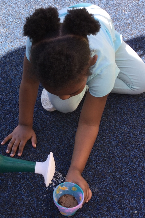 Chappell Schools at FSCJ North Campus's Photo