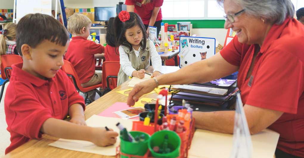 Primrose of Amarillo Southwest's Photo