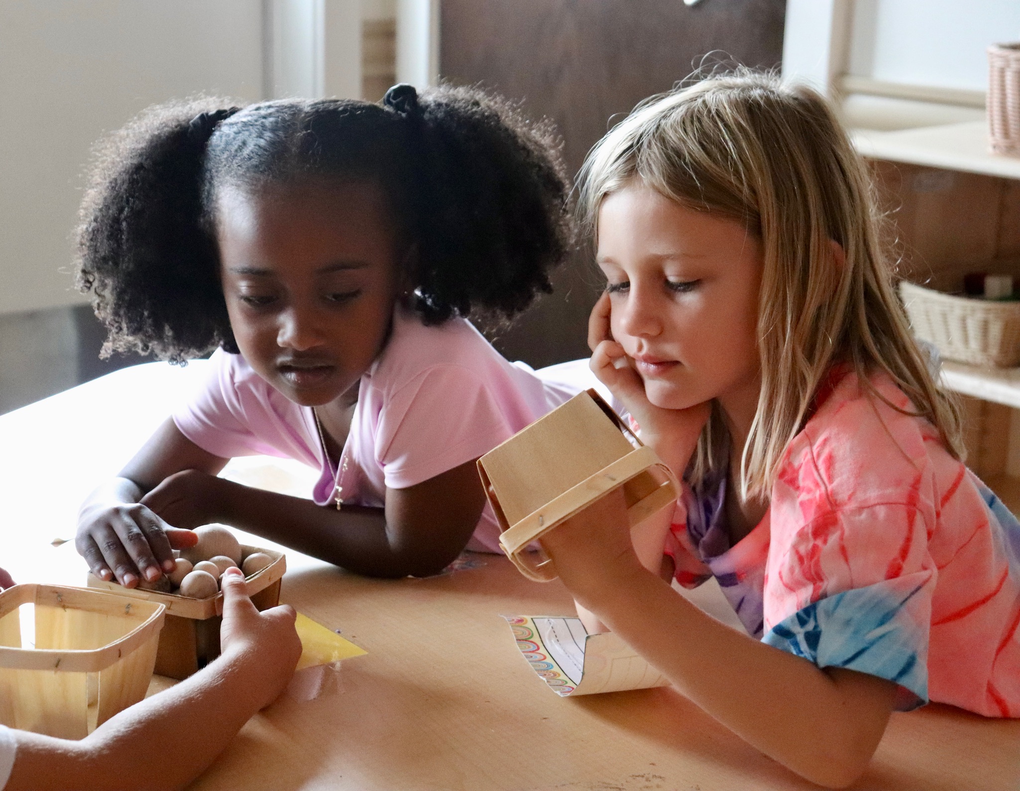 Compositive Primary's Photo