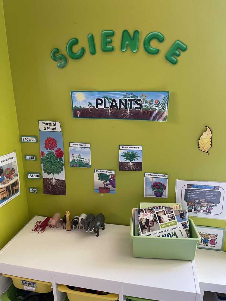 BRIGHT KIDS LEARNING ACADEMY's Photo