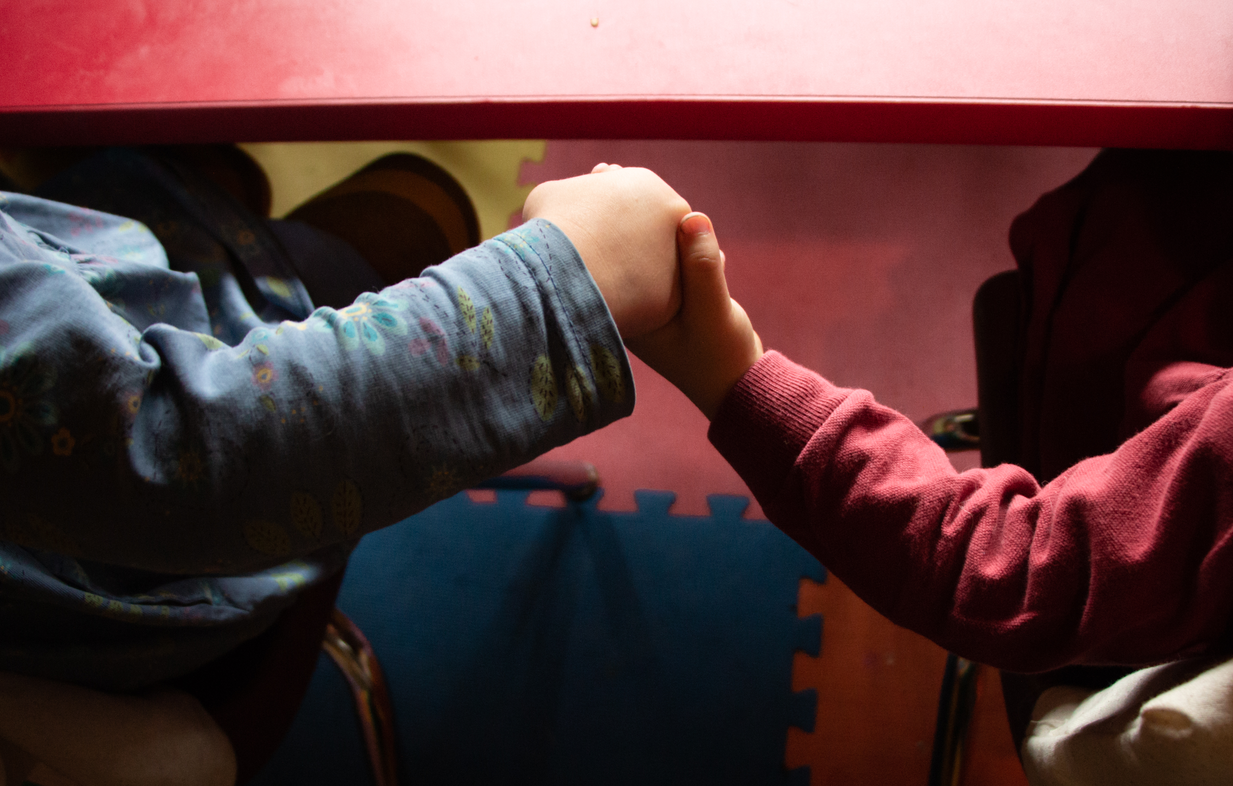 Mancos Valley Dragonfly School's Photo