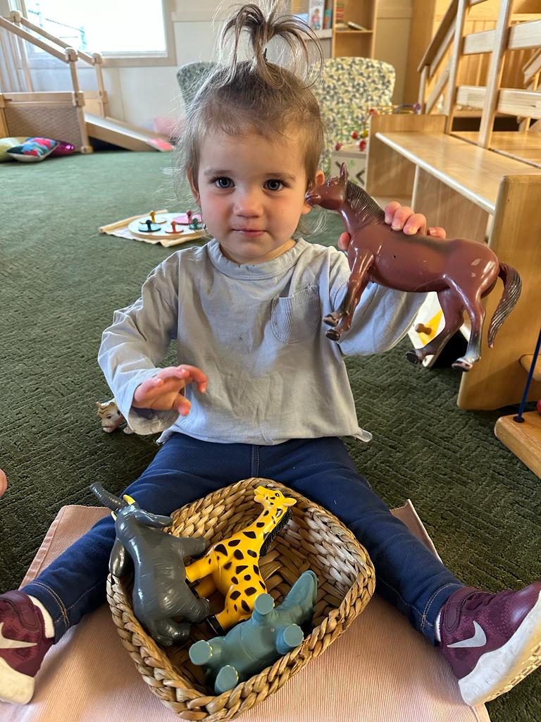 International Montessori Schools – Royersford's Photo