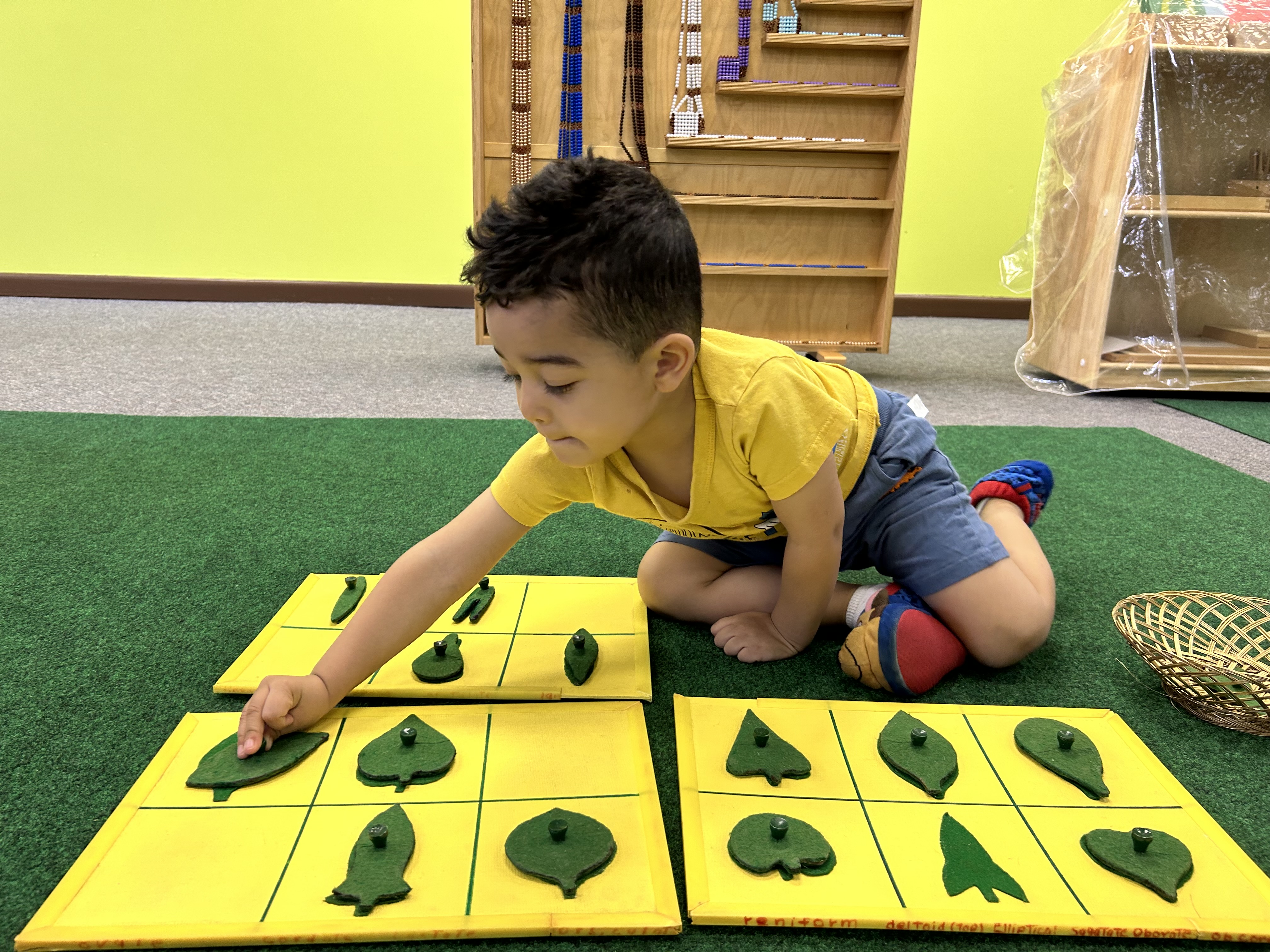 Meadows Montessori 's Photo