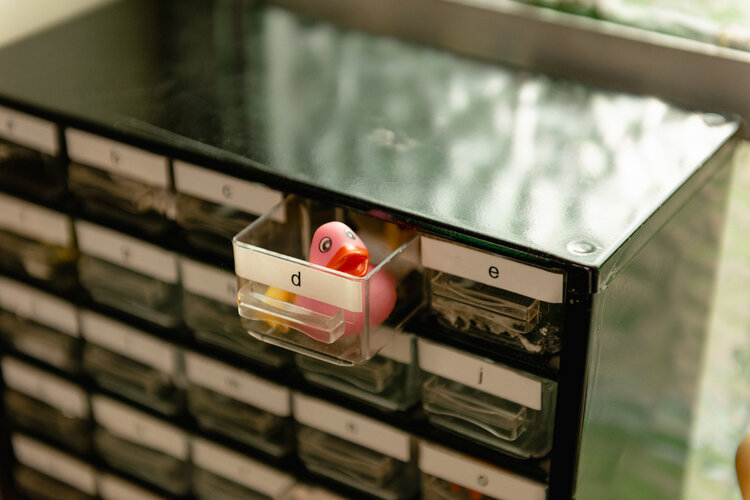 Ithaca Montessori School's Photo