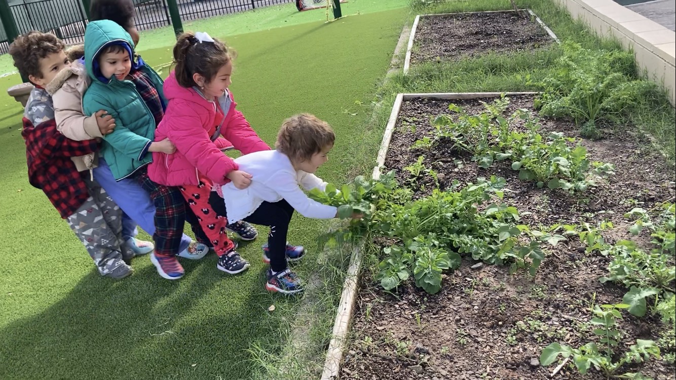 MOLO Bilingual Montessori School's Photo