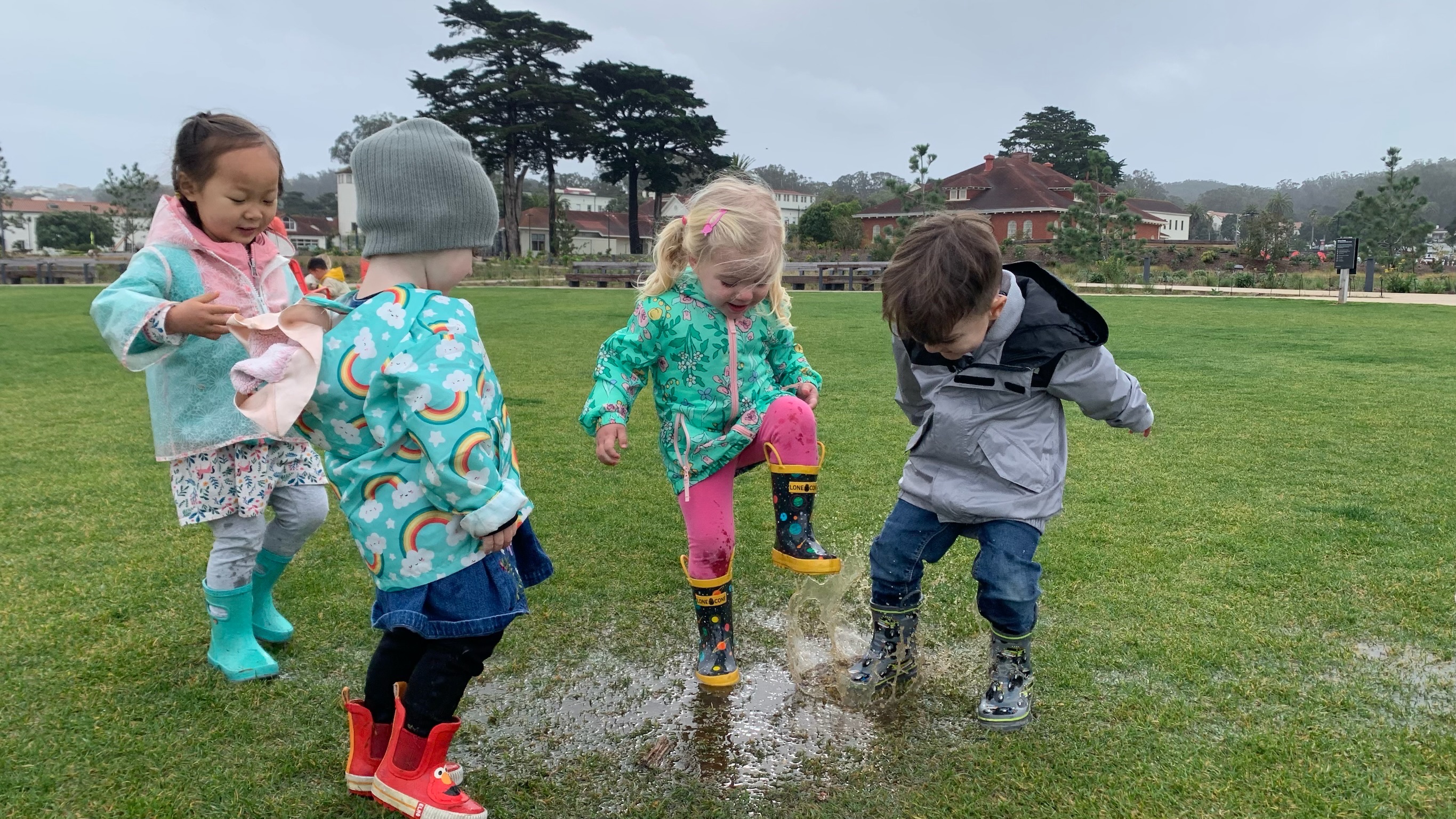 Little Bee Preschool's Photo