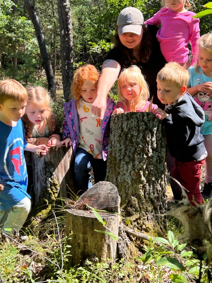 SUNDROP MONTESSORI PRESCHOOL's Photo