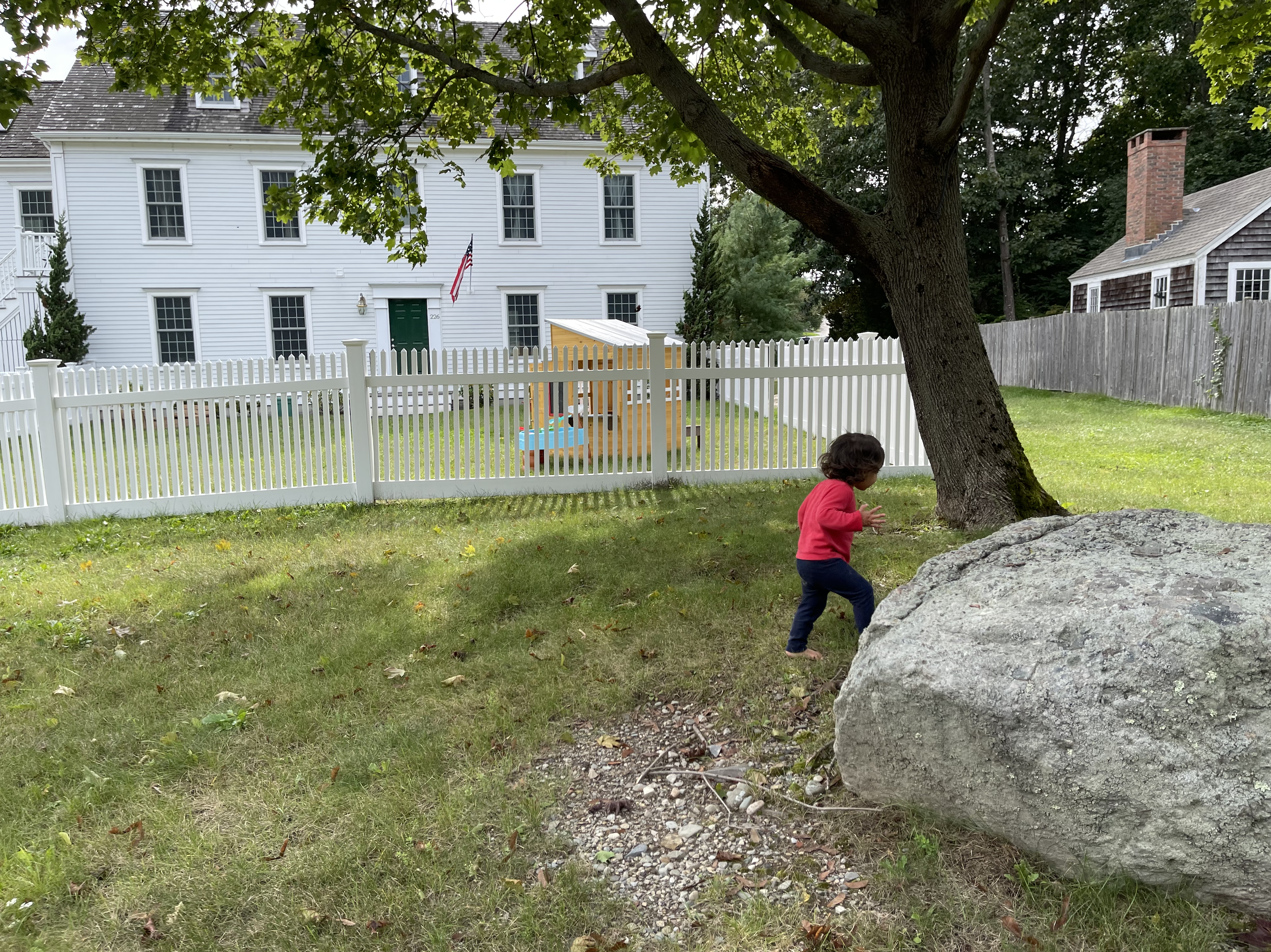 Little Fern Reggio Inspired Preschool's Photo