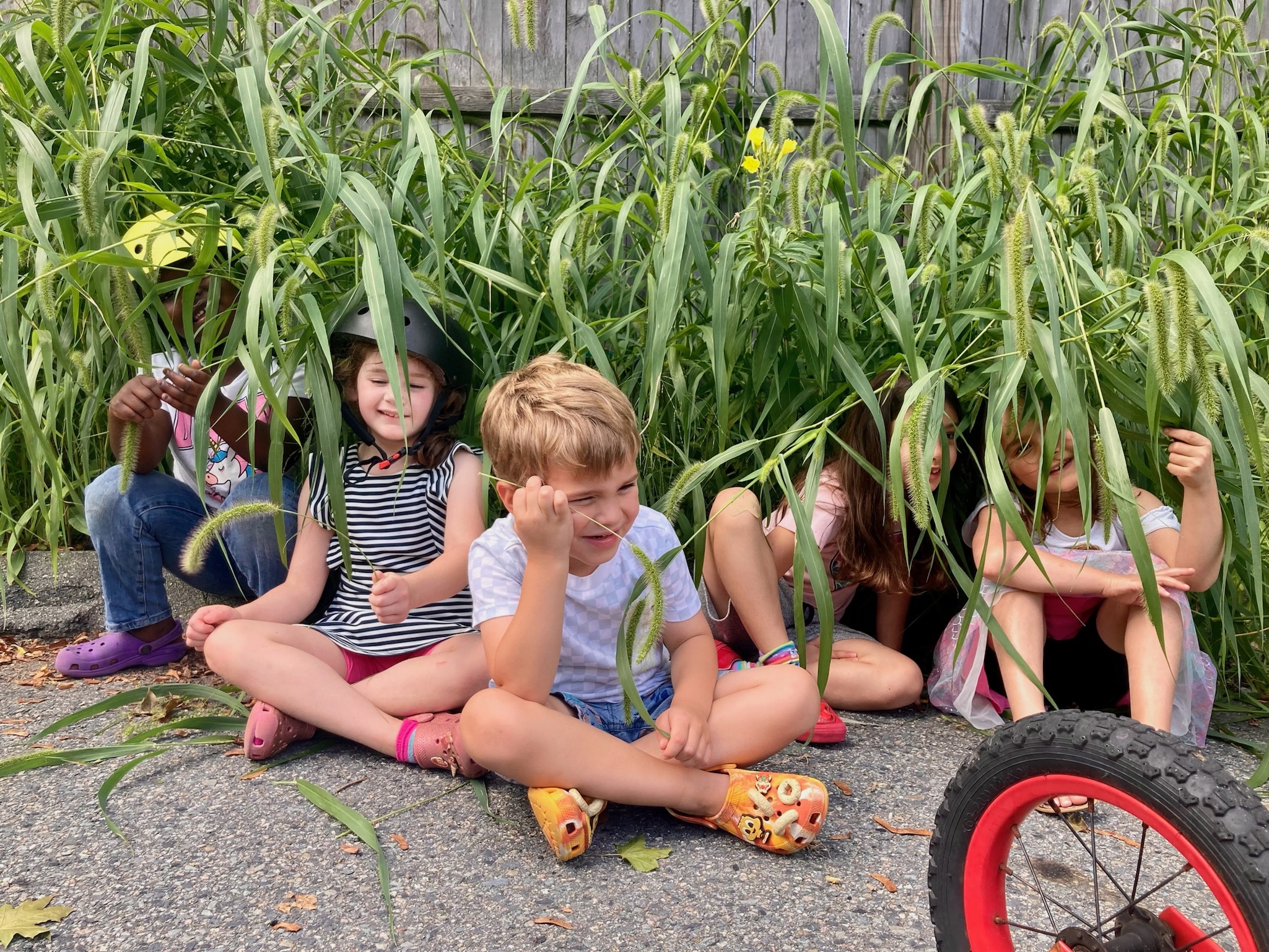 DISCOVERY SCHOOLHOUSE INC's Photo