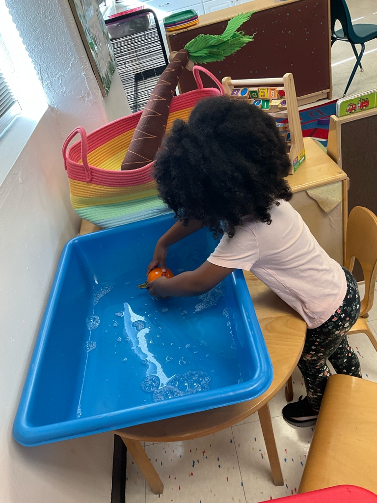 Ivy Prep Early Learning Academy (Bayside)'s Photo