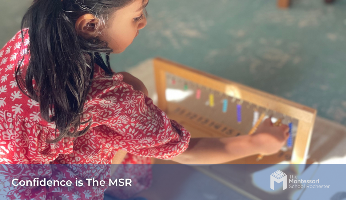 THE MONTESSORI SCHOOL ROCHESTER- CRYSTAL LAKE's Photo