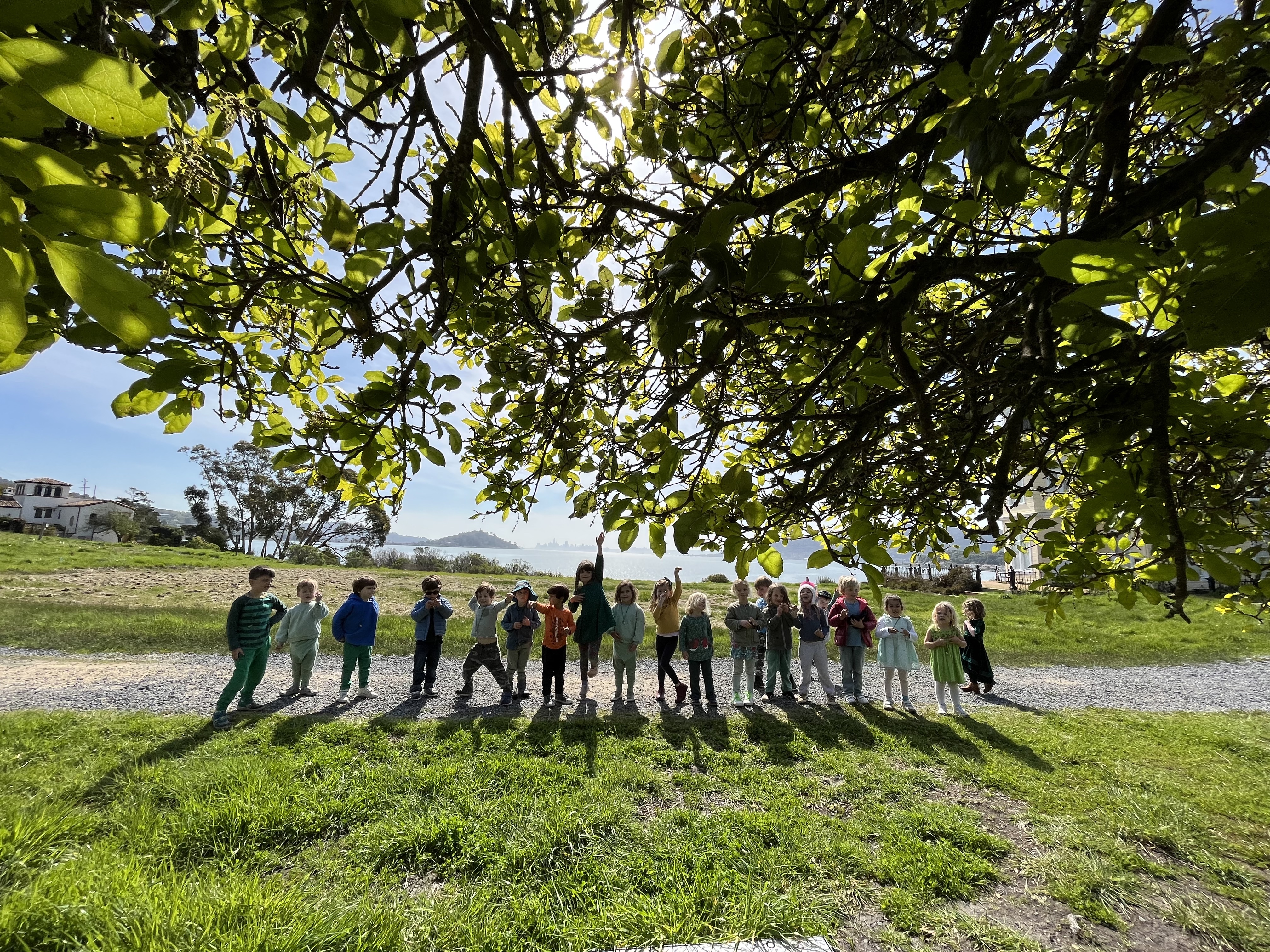 HARMONY MONTESSORI's Photo