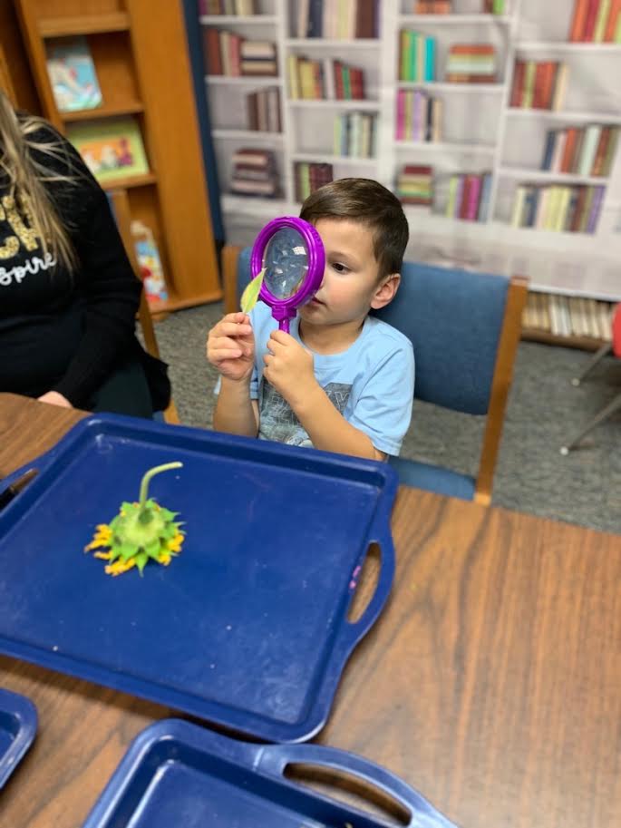 JERICHO Stem Academy's Photo