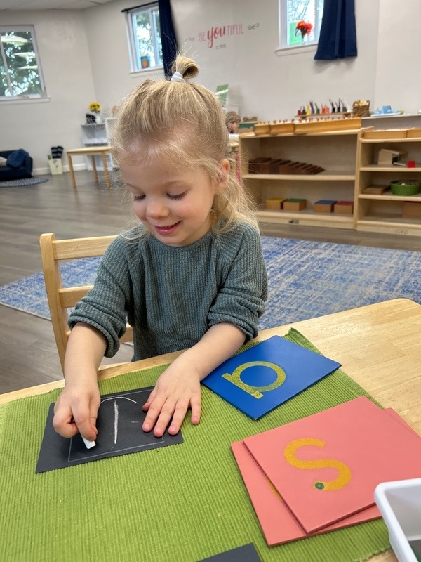 The Montessori School of Washington DC's Photo