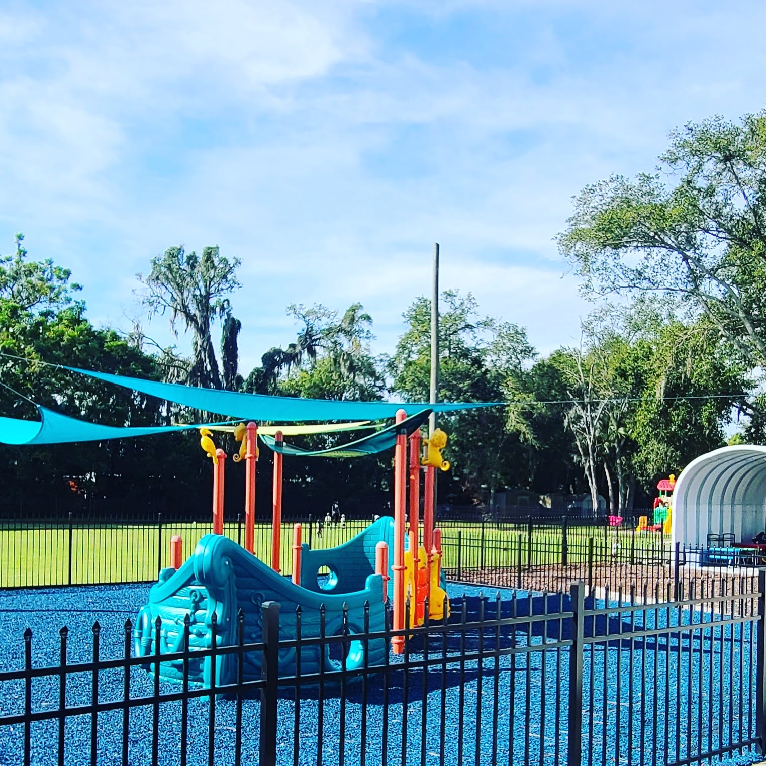 SERENDIPITY LEARNING CENTER's Photo