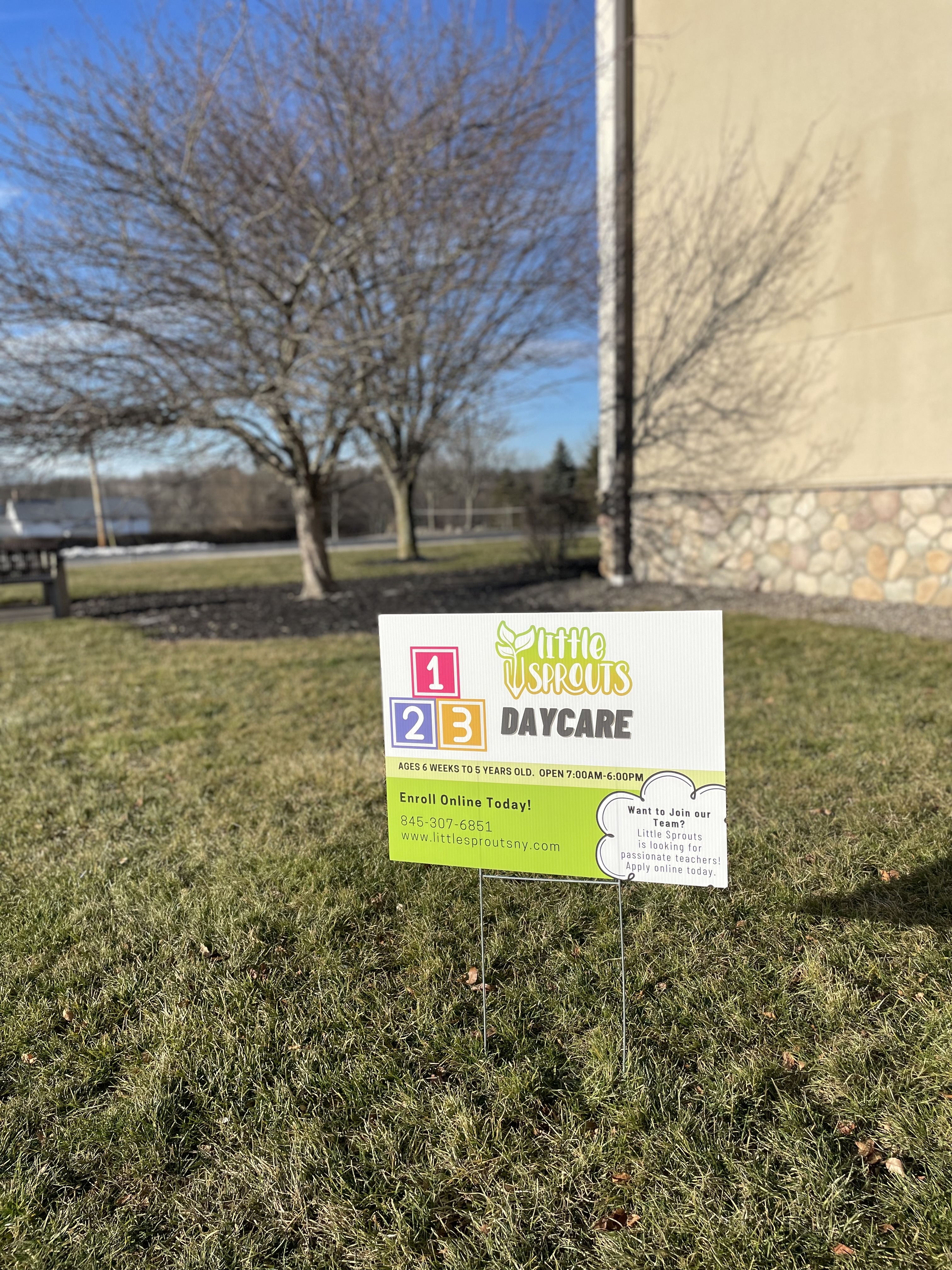 Little Sprouts NY's Photo