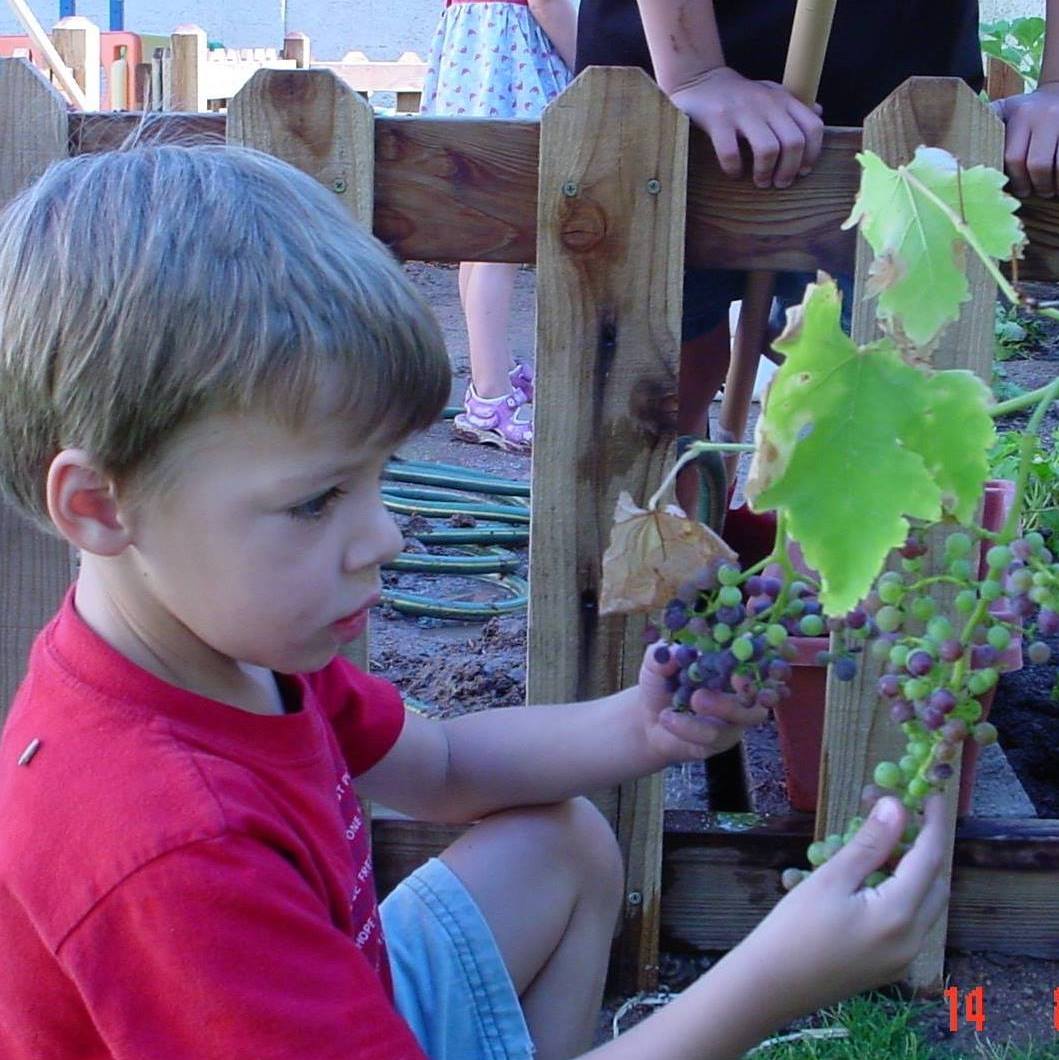 BRiDGES Preschool Tempe's Photo