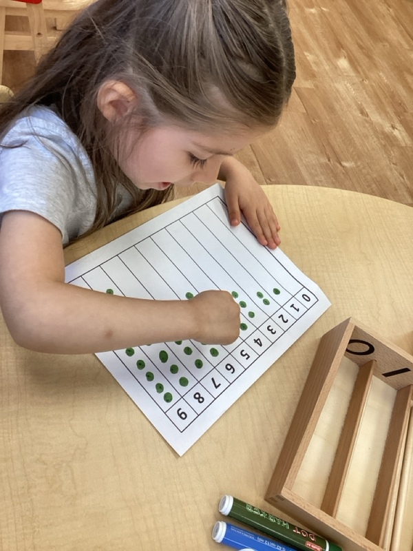 Dani Academy's Photo