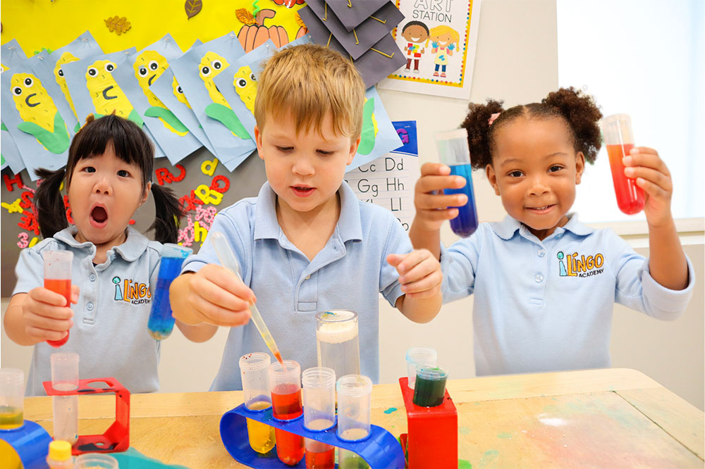 iLingo Academy's Photo