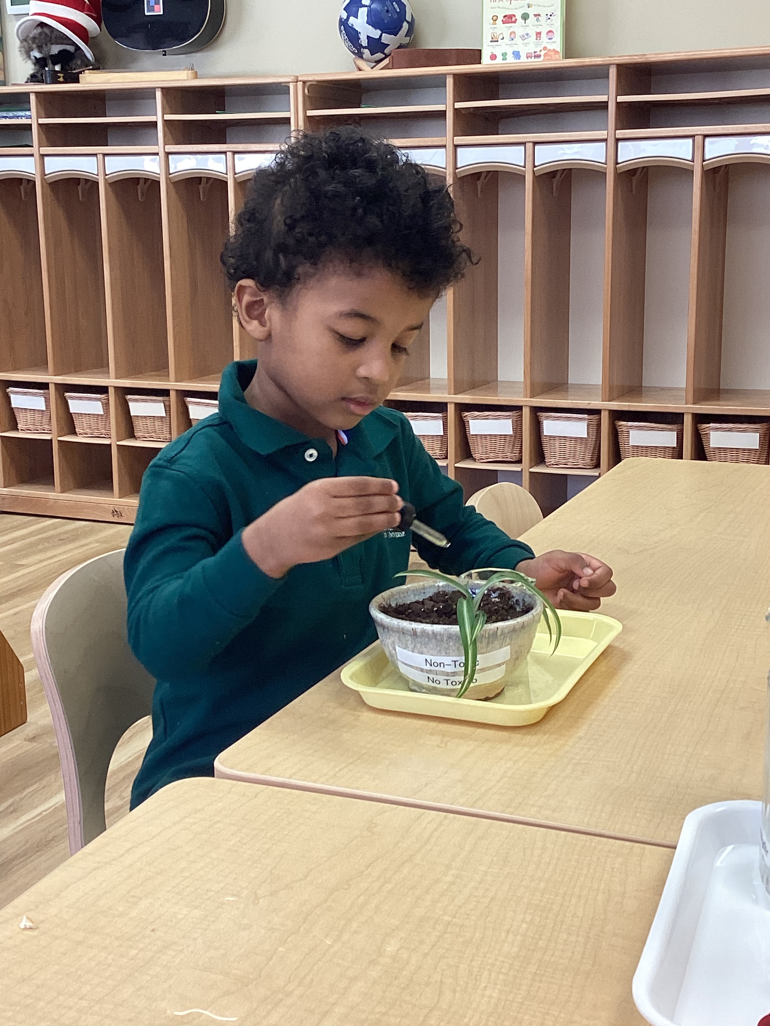 Montessori Kids Universe of Lorton Valley's Photo