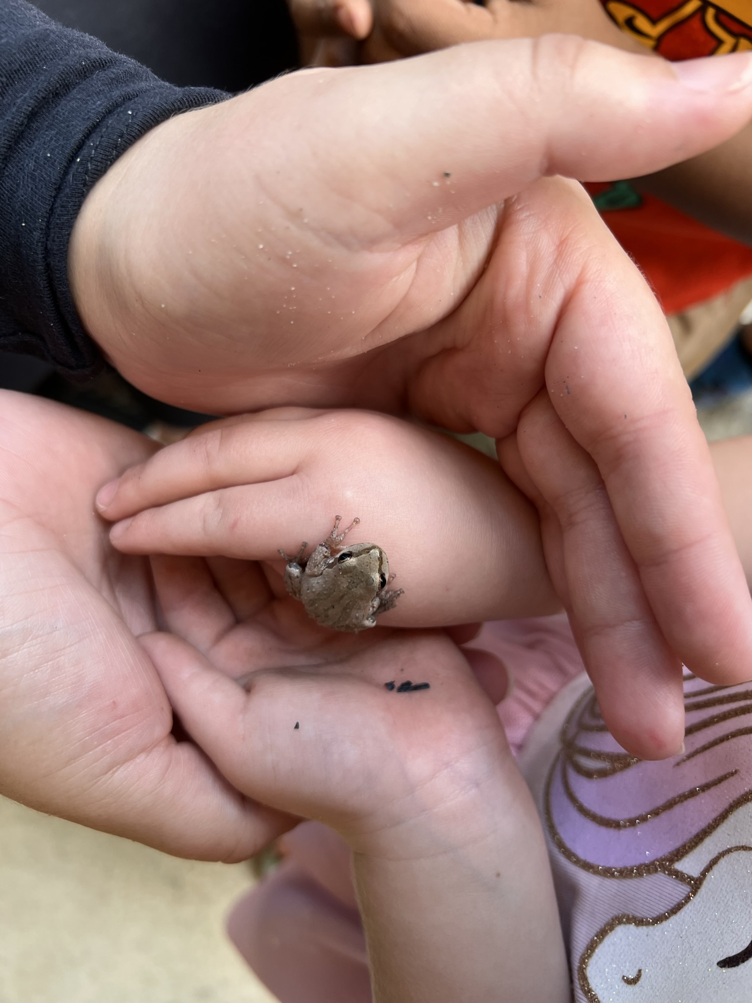 Moore Learning Preschool & Childcare Center's Photo