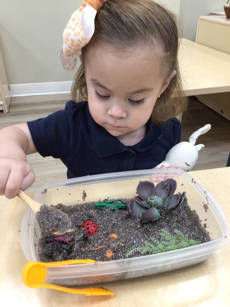 Montessori Kids Universe of Stone Oak's Photo