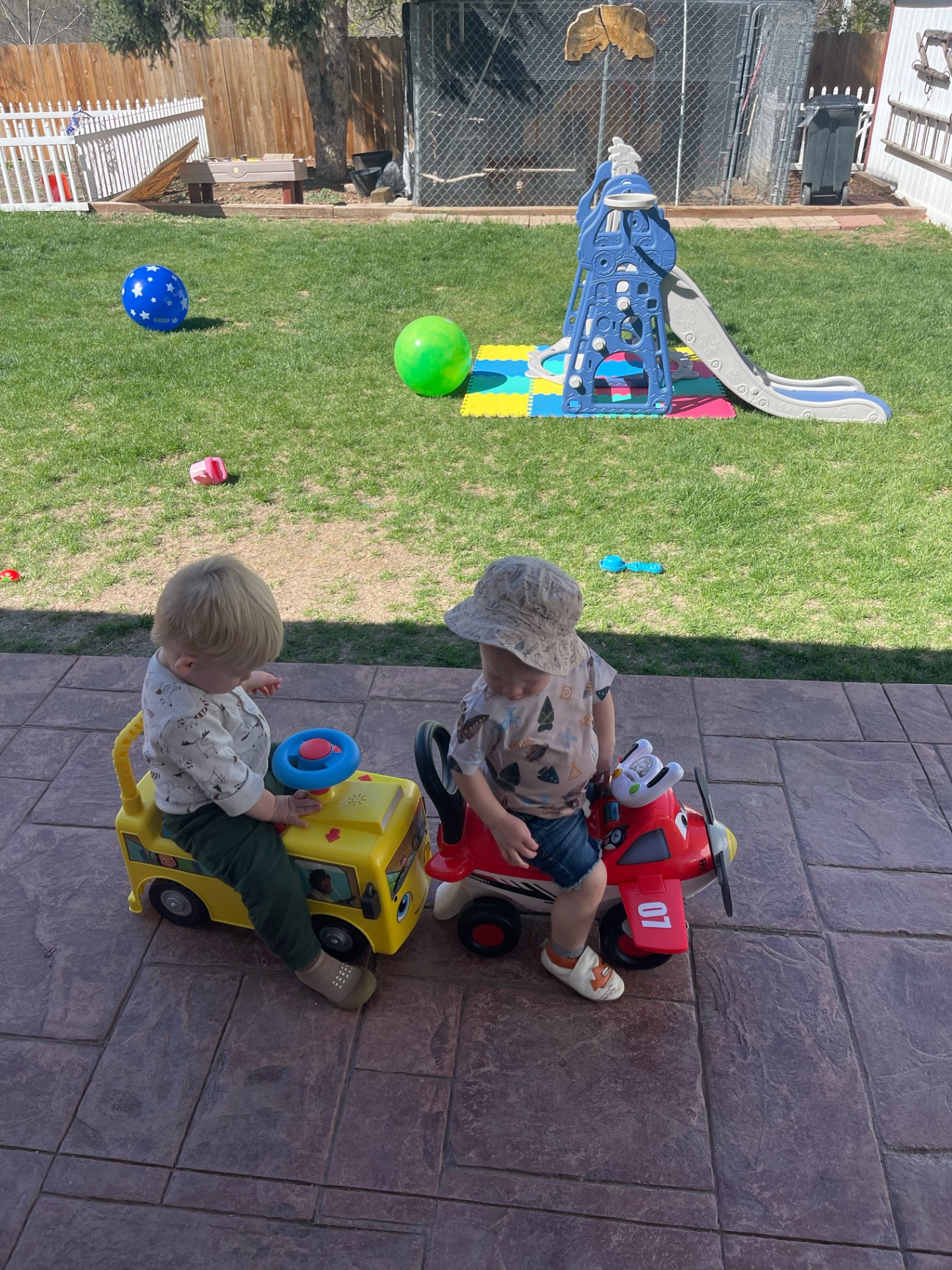 Theresa King's Photo