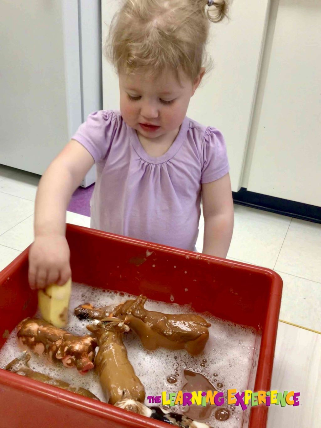 The Learning Experience, Wethersfield's Photo